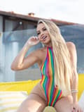 Anik brasiliana