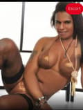 FABIOLA TRANS