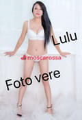 Lulu  asia
