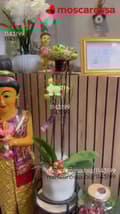 video - Thara thai massage