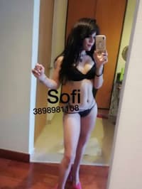 Trans sofi (terni)