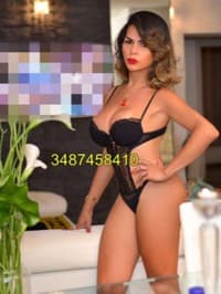 Trans new (alba adriatica)