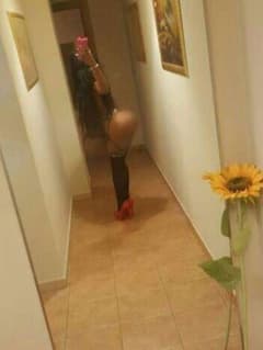 Yanet