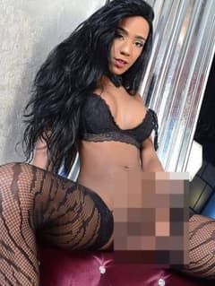 Paloma