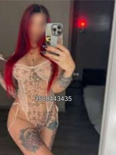 New
