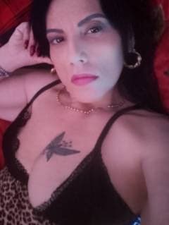 Lisa italiana