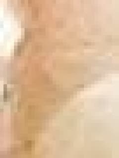 Erik toro brasiliano