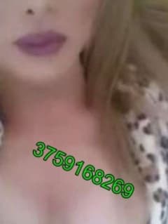 SILVIA trans Viterbo