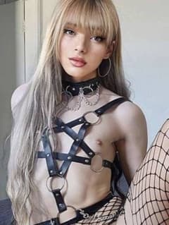 OXA Trans trans Padova