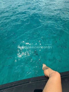 Aurora escort donne Roma