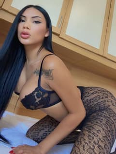 Karinatranslatina trans Verona