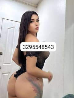 LISSA trans Varese
