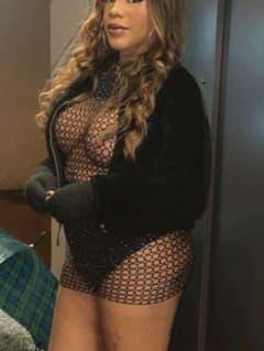 july trans trans Torino