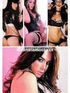 MAYA trans Roma