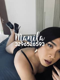 Manila asiatica