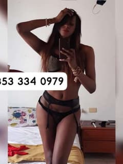 Sintya trans Varese