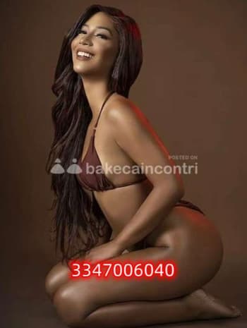 3347006040