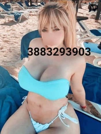 3883293903
