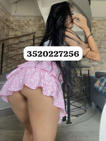 3520227256