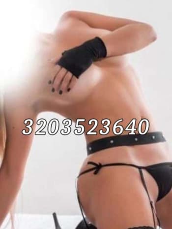 3203523640