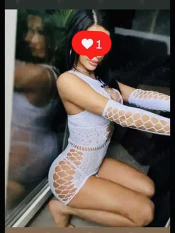 3393584208