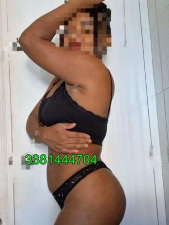 3381444704