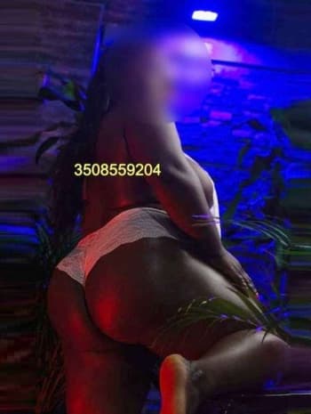 3508559204