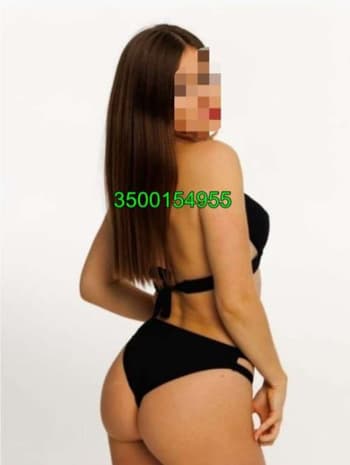 3500154955