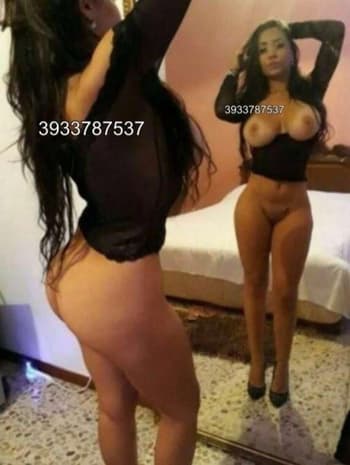 3933787537