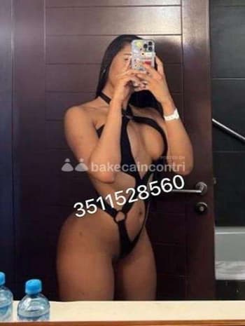 3511528560