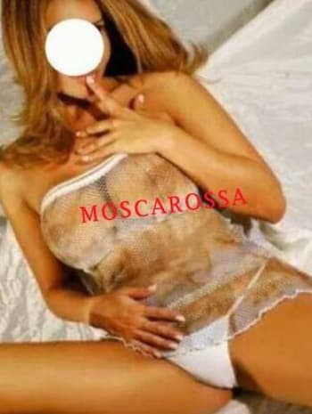 moscarossa.biz