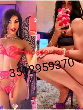 3512959370