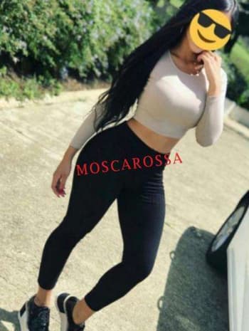 moscarossa.biz