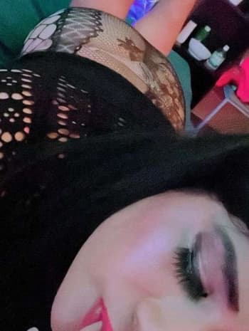 3891408538