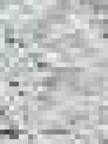 3713727499
