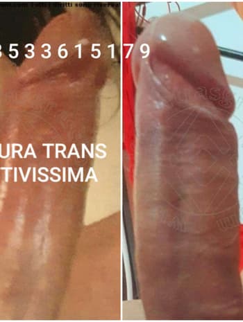 moscarossa.biz