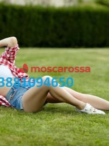 3881094650
