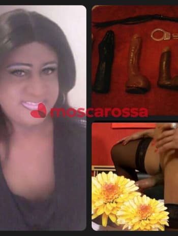 moscarossa.biz