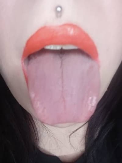 Escort Pavia valy Escort Pavia valy