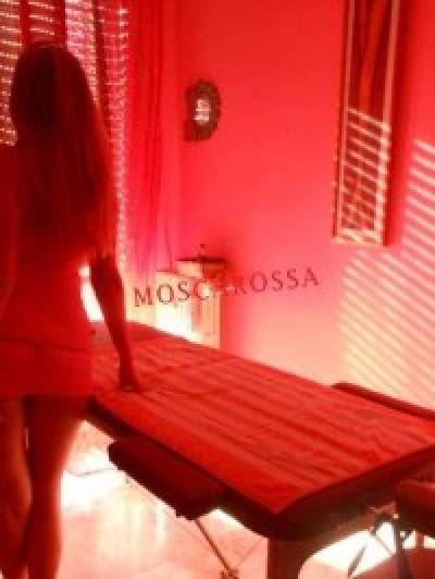 Escorts donne angelica (alba) Escorts donne angelica (alba)