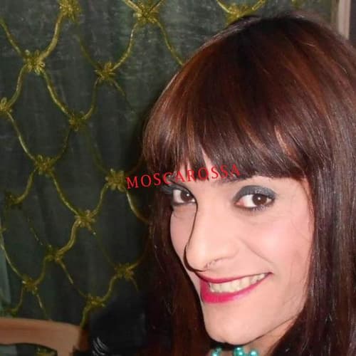 VANESSA TRANS 24 su 24 IMPERDIBILE. VANESSA TRANS 24 su 24 IMPERDIBILE.