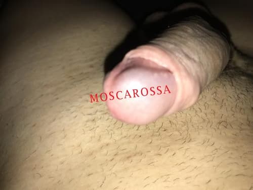 Foto di Marco a Bologna