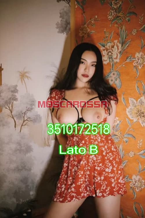 Foto di Dolce Ragazza Orientale a Villafranca Di Verona